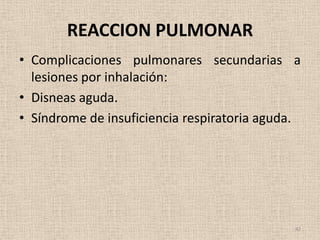 REACCION PULMONAR
• Complicaciones pulmonares secundarias a
  lesiones por inhalación:
• Disneas aguda.
• Síndrome de insuficiencia respiratoria aguda.




                                              42
 