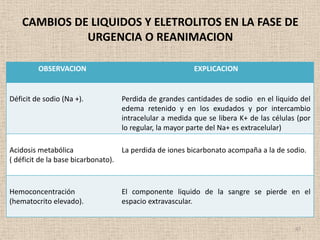 CAMBIOS DE LIQUIDOS Y ELETROLITOS EN LA FASE DE
              URGENCIA O REANIMACION

         OBSERVACION                                   EXPLICACION


Déficit de sodio (Na +).         Perdida de grandes cantidades de sodio en el liquido del
                                 edema retenido y en los exudados y por intercambio
                                 intracelular a medida que se libera K+ de las células (por
                                 lo regular, la mayor parte del Na+ es extracelular)

Acidosis metabólica                La perdida de iones bicarbonato acompaña a la de sodio.
( déficit de la base bicarbonato).



Hemoconcentración                El componente liquido de la sangre se pierde en el
(hematocrito elevado).           espacio extravascular.


                                                                                      47
 