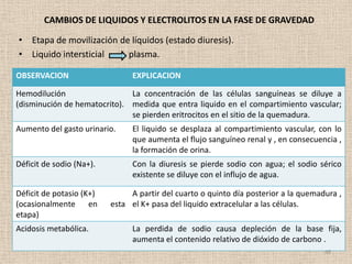 CAMBIOS DE LIQUIDOS Y ELECTROLITOS EN LA FASE DE GRAVEDAD

• Etapa de movilización de líquidos (estado diuresis).
• Liquido intersticial    plasma.

OBSERVACION                     EXPLICACION

Hemodilución                  La concentración de las células sanguíneas se diluye a
(disminución de hematocrito). medida que entra liquido en el compartimiento vascular;
                              se pierden eritrocitos en el sitio de la quemadura.
Aumento del gasto urinario.     El liquido se desplaza al compartimiento vascular, con lo
                                que aumenta el flujo sanguíneo renal y , en consecuencia ,
                                la formación de orina.
Déficit de sodio (Na+).         Con la diuresis se pierde sodio con agua; el sodio sérico
                                existente se diluye con el influjo de agua.

Déficit de potasio (K+)        A partir del cuarto o quinto día posterior a la quemadura ,
(ocasionalmente en        esta el K+ pasa del liquido extracelular a las células.
etapa)
Acidosis metabólica.            La perdida de sodio causa depleción de la base fija,
                                aumenta el contenido relativo de dióxido de carbono .
                                                                                     48
 