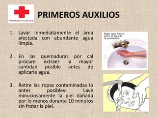 PRIMEROS AUXILIOS
1. Lavar inmediatamente el área
   afectada con abundante agua
   limpia.

2. En las quemaduras por cal
   procure extraer la mayor
   cantidad posible antes de
   aplicarle agua.

3. Retire las ropas contaminadas lo
   antes          posibles-   Lave
   minuciosamente la piel dañada
   por lo menos durante 10 minutos
   sin frotar la piel.
                                      56
 