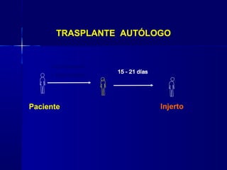 TRASPLANTE AUTÓLOGO
Quimioterapia
+ Radioterapia
Paciente Injerto
 