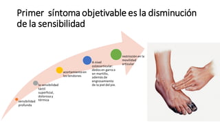 Primer síntoma objetivable es la disminución
de la sensibilidad
sensibilidad
profunda
la sensibilidad
táctil
superficial,
dolorosa y
térmica
acortamientoen
los tendones
A nivel
osteoarticular:
dedos en garra o
en martillo,
además de
engrosamiento
de la piel del pie.
restricción en la
movilidad
articular
 