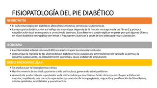 FISIOPATOLOGÍA DEL PIE DIABÉTICO
NEUROPATÍA
• El daño neurológico en diabéticos afecta fibras motoras, sensitivas y autonómicas.
• La neuropatíadiabética altera el reflejo del axonal que depende de la función nociceptiva de las fibras-C y provoca
vasodilataciónlocal en respuestaa un estímulo doloroso. Este deterioro puede explicar en parte por qué algunas úlceras
en el pie diabético neuropáticoson lentas o fracasan en cicatrizar,a pesar de una adecuada revascularización.
ISQUEMIA
• La enfermedad arterial oclusiva (EAO) se caracterizapor la estenosis y oclusión.
• A pesar que la mayoría de las úlceras del pie diabético no se asocian a la arterosclerosisde vasos de la pierna y la
isquemia subsecuente, es probablemente la principal causa evitable de amputación.
DAÑO MICROVASCULAR
• Se produce por la hiperglicemia crónica
• Hay incremento de sorbitol y posterior a ello de fructosa, generando estrés oxidativo
• Aumenta la producciónde superóxidos en la mitocondria que inactivan el óxido nítrico y contribuyen a disfunción
vascular, impidiendo una correctareparación y promoción de la angiogénesis, migración y proliferación de fibroblastos,
células epiteliales, endoteliales y queratinocitos.
 