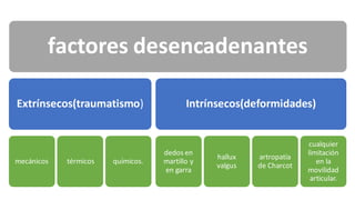factores desencadenantes
Extrínsecos(traumatismo)
mecánicos térmicos químicos.
Intrínsecos(deformidades)
dedos en
martillo y
en garra
hallux
valgus
artropatía
de Charcot
cualquier
limitación
en la
movilidad
articular.
 