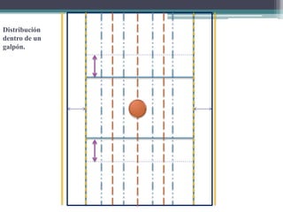 Distribución
dentro de un
galpón.
 