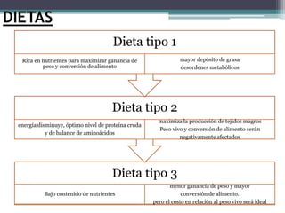 DIETAS
Dieta tipo 3
Bajo contenido de nutrientes
menor ganancia de peso y mayor
conversión de alimento.
pero el costo en relación al peso vivo será ideal
Dieta tipo 2
energía disminuye, óptimo nivel de proteína cruda
y de balance de aminoácidos
maximiza la producción de tejidos magros
Peso vivo y conversión de alimento serán
negativamente afectados
Dieta tipo 1
Rica en nutrientes para maximizar ganancia de
peso y conversión de alimento
mayor depósito de grasa
desordenes metabólicos
 