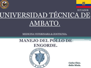 UNIVERSIDAD TÉCNICA DE 
AMBATO. 
MEDICINA VETERINARIA & ZOOTECNIA. 
MANEJO DEL POLLO DE 
ENGORDE. 
ECUADOR 
 