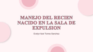 Evelyn Itzel Torres Sanchez
 