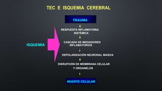 ISQUEMIA
RESPUESTA INFLAMATORIA
SISTÉMICA
CASCADA DE MEDIADORES
INFLAMATORIOS
DEPOLARIZACIÓN NEURONAL MASIVA
DISRUPCIÓN DE MEMBRANA CELULAR
Y ORGANELOS
MUERTE CELULAR
TRAUMA
TEC E ISQUEMIA CEREBRAL
 