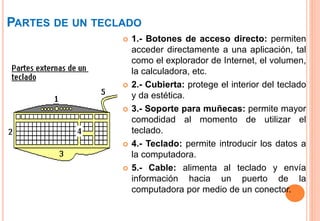 PARTES DE UN TECLADO
 1.- Botones de acceso directo: permiten
acceder directamente a una aplicación, tal
como el explorador de Internet, el volumen,
la calculadora, etc.
 2.- Cubierta: protege el interior del teclado
y da estética.
 3.- Soporte para muñecas: permite mayor
comodidad al momento de utilizar el
teclado.
 4.- Teclado: permite introducir los datos a
la computadora.
 5.- Cable: alimenta al teclado y envía
información hacia un puerto de la
computadora por medio de un conector.
 