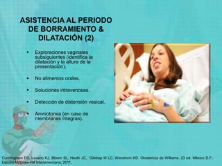  Exploraciones vaginales
subsiguientes (identifica la
dilatación y la altura de la
presentación).
 No alimentos orales.
 Soluciones intravenosas.
 Detección de distensión vesical.
 Amniotomia (en caso de
membranas integras).
ASISTENCIA AL PERIODO
DE BORRAMIENTO &
DILATACIÓN (2)
Cunningham FG, Leveno KJ, Bloom SL, Hauth JC, Gilstrap III LC, Wenstrom KD. Obstetricia de Williams. 23 ed. México D.F.:
Edición McGraw-Hill Interamericana; 2011.
 