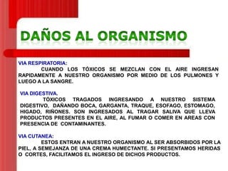 VIA RESPIRATORIA:
CUANDO LOS TÓXICOS SE MEZCLAN CON EL AIRE INGRESAN
RAPIDAMENTE A NUESTRO ORGANISMO POR MEDIO DE LOS PULMONES Y
LUEGO A LA SANGRE.
VIA DIGESTIVA.
TÓXICOS TRAGADOS INGRESANDO A NUESTRO SISTEMA
DIGESTIVO, DAÑANDO BOCA, GARGANTA, TRAQUE, ESOFAGO, ESTOMAGO,
HIGADO, RIÑONES. SON INGRESADOS AL TRAGAR SALIVA QUE LLEVA
PRODUCTOS PRESENTES EN EL AIRE, AL FUMAR O COMER EN AREAS CON
PRESENCIA DE CONTAMINANTES.
VIA CUTANEA:
ESTOS ENTRAN A NUESTRO ORGANISMO AL SER ABSORBIDOS POR LA
PIEL, A SEMEJANZA DE UNA CREMA HUMECTANTE. SI PRESENTAMOS HERIDAS
O CORTES, FACILITAMOS EL INGRESO DE DICHOS PRODUCTOS.

 