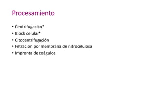 Procesamiento
• Centrifugación*
• Block celular*
• Citocentrifugación
• Filtración por membrana de nitrocelulosa
• Impronta de coágulos
 