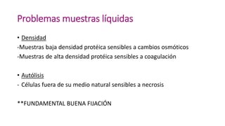 Problemas muestras líquidas
• Densidad
-Muestras baja densidad protéica sensibles a cambios osmóticos
-Muestras de alta densidad protéica sensibles a coagulación
• Autólisis
- Células fuera de su medio natural sensibles a necrosis
**FUNDAMENTAL BUENA FIJACIÓN
 