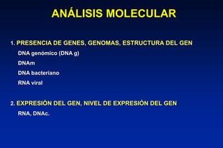 MANEJO_DE_MUESTRAS_PARA_ANA_LISIS_MOLECULAR.ppt