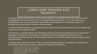 • La terapia dirigida es desafiante en este paciente, dada la susceptibilidad perfil del organismo, pero
probablemente necesitará para incluir un aminoglucósido intravenoso, si no es una polimixina, y
posiblemente más nueva combinación de inhibidor de cefalosporina+ B-lactamasa porque es
probable que sea sensible al momento de las pruebas.
• La terapia inhalada también es apropiada para considerar para este paciente porque los resultados del
cultivo reveló un organismo MDR.
• Por ejemplo, un posible régimen de tratamiento podría ser intravenoso tobramicina más ceftazidima-
avibactam más tobramicina inhalada. La combinación de aminoglucósidos intravenosos con
administración intravenosa de polimixinas deben evitarse si es posible debido a la preocupación por la
toxicidad aditiva.
• La terapia debe continuar durante 7 días y, si está disponible, debe ser consultado un especialista en
enfermedad infecciosa para ayudar optimizar el manejo de antibióticos
¿CÓMO DEBE TRATARSE ESTE
PACIENTE?
 