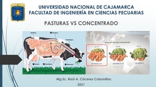 UNIVERSIDAD NACIONAL DE CAJAMARCA
FACULTAD DE INGENIERÍA EN CIENCIAS PECUARIAS
PASTURAS VS CONCENTRADO
Mg.Sc. Raúl A. Cáceres Cabanillas.
2021
 