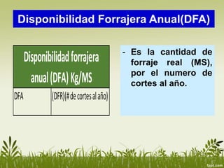 Disponibilidad Forrajera Anual(DFA)
- Es la cantidad de
forraje real (MS),
por el numero de
cortes al año.
DFA (DFR)(#decortesalaño)
Disponibilidadforrajera
anual(DFA)Kg/MS
 
