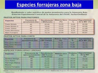 Especies forrajeras zona baja
 