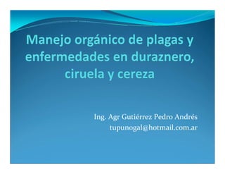 Ing. Agr Gutiérrez Pedro Andrés
tupunogal@hotmail.com.ar
 
