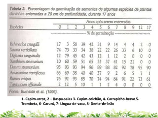 1- Capim-arroz, 2 – Raspa-saias 3- Capim-colchão, 4- Carrapicho-bravo 5-
Trombeta, 6- Carurú, 7- Língua-de-vaca, 8- Dente-de-leão
 