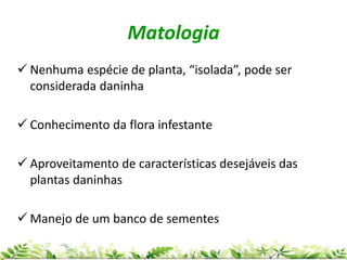 Matologia
 Nenhuma espécie de planta, “isolada”, pode ser
considerada daninha
 Conhecimento da flora infestante
 Aproveitamento de características desejáveis das
plantas daninhas
 Manejo de um banco de sementes
 