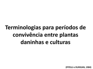 Terminologias para períodos de
convivência entre plantas
daninhas e culturas
(PITELLI e DURIGAN, 1984)
 