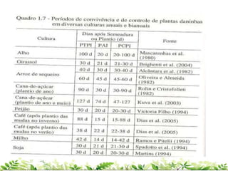 Fonte: Silva e Silva, 2009
 