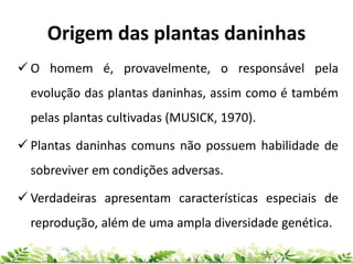 Origem das plantas daninhas
 O homem é, provavelmente, o responsável pela
evolução das plantas daninhas, assim como é também
pelas plantas cultivadas (MUSICK, 1970).
 Plantas daninhas comuns não possuem habilidade de
sobreviver em condições adversas.
 Verdadeiras apresentam características especiais de
reprodução, além de uma ampla diversidade genética.
 