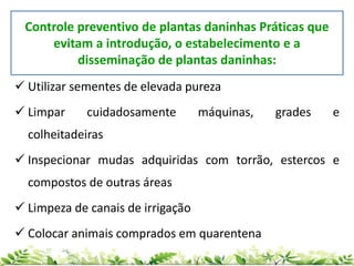 Controle preventivo de plantas daninhas Práticas que
evitam a introdução, o estabelecimento e a
disseminação de plantas daninhas:
 Utilizar sementes de elevada pureza
 Limpar cuidadosamente máquinas, grades e
colheitadeiras
 Inspecionar mudas adquiridas com torrão, estercos e
compostos de outras áreas
 Limpeza de canais de irrigação
 Colocar animais comprados em quarentena
 