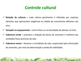 Controle cultural
 Rotação de culturas – cada cultura geralmente é infestada por espécies
daninhas que apresentam exigências ou hábito de crescimento idênticos aos
seus.
 Variação no espaçamento – entre linhas ou na densidade de plantas na linha.
 Cobertura verde – promove a redução do banco de sementes e melhoria das
condições fisico-químicas do solo.
 Cobertura morta – favorece a microbiota do solo, responsável pela eliminação
de sementes, por meio da deterioração e perda de viabilidade.
 