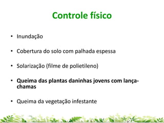 Controle físico
• Inundação
• Cobertura do solo com palhada espessa
• Solarização (filme de polietileno)
• Queima das plantas daninhas jovens com lança-
chamas
• Queima da vegetação infestante
 