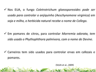  Nos EUA, o fungo Coletrotrichum gloeosporeoides pode ser
usado para controlar o anjiquinho (Aeschynomene virginica) em
soja e milho, o herbicida natural recebe o nome de Collego.
 Em pomares de citros, para controlar Morremia odorata, tem
sido usado o Phythophthora palmívora, com o nome de Devine.
 Carneiros tem sido usados para controlar ervas em cafezais e
pomares.
(SILVA et al., 2009)
 