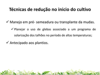 Técnicas de redução no inicio do cultivo
 Manejo em pré- semeadura ou transplante da mudas.
 Planejar o uso de glebas associado a um programa de
solarização dos talhões no período de altas temperaturas;
 Antecipado aos plantios.
 