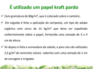  Com gramatura de 80g/m², que é colocado sobre o canteiro.
 Em seguida é feita a aplicação do composto, um tipo de adubo
orgânico com cerca de 15 kg/m² que deve ser espalhado
uniformemente sobre o papel, formando uma camada de 3 a 4
cm de altura.
 Só depois é feita a semeadura da cebola, e para isto são utilizados
2,5 g/m² de sementes viáveis cobertas com uma camada de 1 cm
de serragem e irrigadas
É utilizado um papel kraft pardo
 