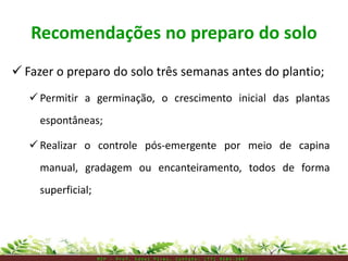 Recomendações no preparo do solo
 Fazer o preparo do solo três semanas antes do plantio;
 Permitir a germinação, o crescimento inicial das plantas
espontâneas;
 Realizar o controle pós-emergente por meio de capina
manual, gradagem ou encanteiramento, todos de forma
superficial;
M I P – P r o f . E d n e i P i r e s . C o n t a t o : ( 7 7 ) 9 1 0 3 - 3 8 0 7
 
