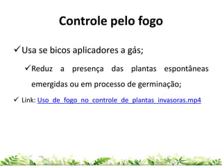 Controle pelo fogo
Usa se bicos aplicadores a gás;
Reduz a presença das plantas espontâneas
emergidas ou em processo de germinação;
 Link: Uso_de_fogo_no_controle_de_plantas_invasoras.mp4
 