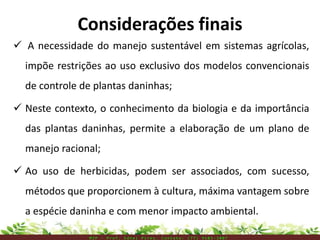 Considerações finais
 A necessidade do manejo sustentável em sistemas agrícolas,
impõe restrições ao uso exclusivo dos modelos convencionais
de controle de plantas daninhas;
 Neste contexto, o conhecimento da biologia e da importância
das plantas daninhas, permite a elaboração de um plano de
manejo racional;
 Ao uso de herbicidas, podem ser associados, com sucesso,
métodos que proporcionem à cultura, máxima vantagem sobre
a espécie daninha e com menor impacto ambiental.
M I P – P r o f . E d n e i P i r e s . C o n t a t o : ( 7 7 ) 9 1 0 3 - 3 8 0 7
 