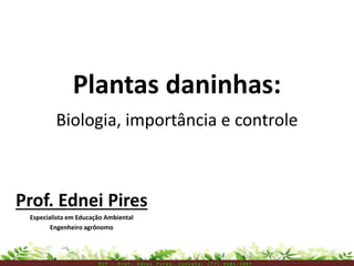 Plantas daninhas:
Biologia, importância e controle
Prof. Ednei Pires
Especialista em Educação Ambiental
Engenheiro agrônomo
M I P – P r o f . E d n e i P i r e s . C o n t a t o : ( 7 7 ) 9 1 0 3 - 3 8 0 7
 