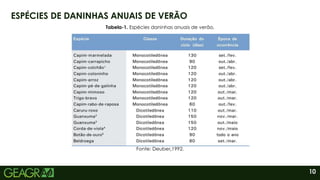 10
ESPÉCIES DE DANINHAS ANUAIS DE VERÃO
Fonte: Deuber,1992.
Tabela-1. Espécies daninhas anuais de verão.
 
