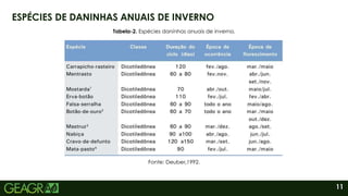 11
ESPÉCIES DE DANINHAS ANUAIS DE INVERNO
Fonte: Deuber,1992.
Tabela-2. Espécies daninhas anuais de inverno.
 