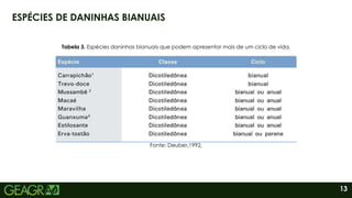 13
ESPÉCIES DE DANINHAS BIANUAIS
Fonte: Deuber,1992.
Tabela 3. Espécies daninhas bianuais que podem apresentar mais de um ciclo de vida.
 