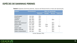 15
ESPÉCIES DE DANINHAS PERENES
Fonte: Deuber,1992.
Tabela 4. Espécies daninhas perenes , épocas de florescimento e meios de reprodução.
 