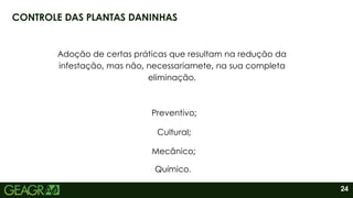 24
CONTROLE DAS PLANTAS DANINHAS
Adoção de certas práticas que resultam na redução da
infestação, mas não, necessariamete, na sua completa
eliminação.
Preventivo;
Cultural;
Mecânico;
Químico.
 
