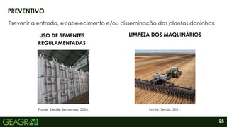 25
PREVENTIVO
Prevenir a entrada, estabelecimento e/ou disseminação das plantas daninhas.
USO DE SEMENTES
REGULAMENTADAS
LIMPEZA DOS MAQUINÁRIOS
Fonte: Stedile Sementes, 2024. Fonte: Sensix, 2021.
 