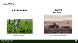 27
MECÂNICO
CAPINA MANUAL CULTIVO
MECÂNICO
Fonte: Embrapa,2017. Fonte: Veneza Maquinas,2024.
 