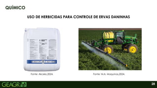 28
QUÍMICO
USO DE HERBICIDAS PARA CONTROLE DE ERVAS DANINHAS
Fonte: Akcelo,2024. Fonte: M.A. Maquinas,2024.
 