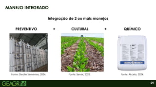 29
MANEJO INTEGRADO
Integração de 2 ou mais manejos
PREVENTIVO QUÍMICO
CULTURAL
+ +
Fonte: Akcelo, 2024.
Fonte: Sensix, 2022.
Fonte: Stedile Sementes, 2024.
 