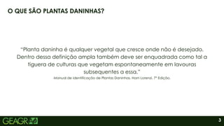 3
O QUE SÃO PLANTAS DANINHAS?
“Planta daninha é qualquer vegetal que cresce onde não é desejado.
Dentro dessa definição ampla também deve ser enquadrada como tal a
tiguera de culturas que vegetam espontaneamente em lavouras
subsequentes a essa.”
Manual de identificação de Plantas Daninhas. Harri Lorenzi. 7° Edição.
 