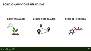 30
POSICIONAMENTO DE HERBICIDAS
2.HISTÓRICO DA ÁREA 3.TIPO DE HERBICIDA
1.IDENTIFICAÇÃO
 